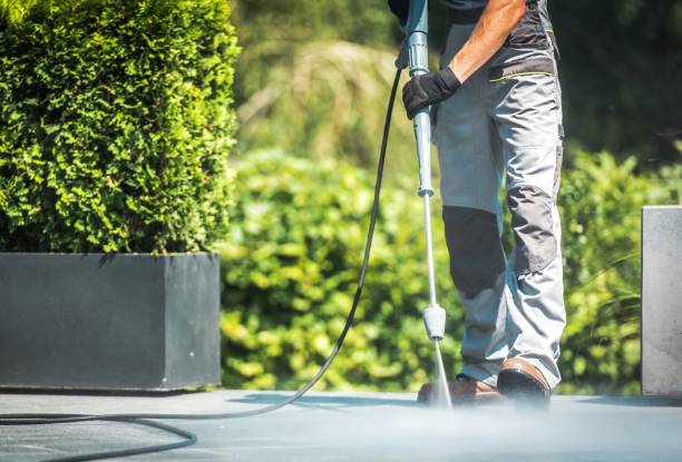  Alamosa, CO Pressure Washing Pros