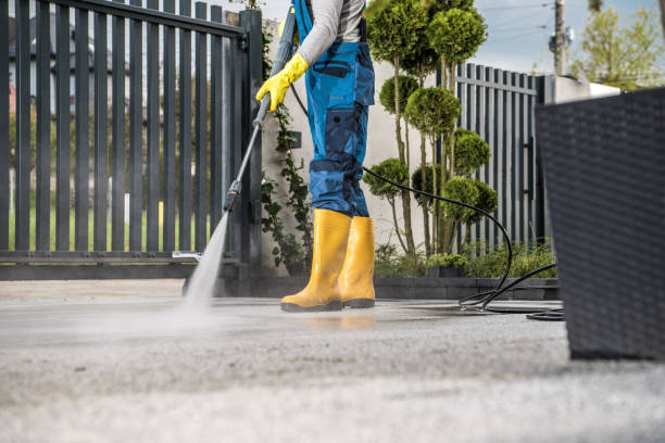 Best Driveway Pressure Washing  in Alamosa, CO